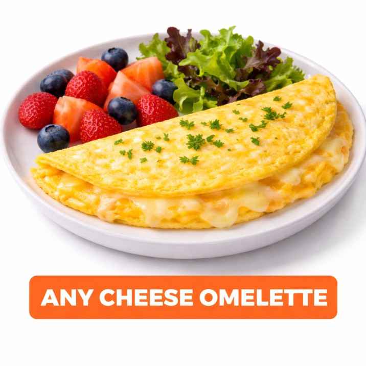 ANY CHEESE OMELETTE